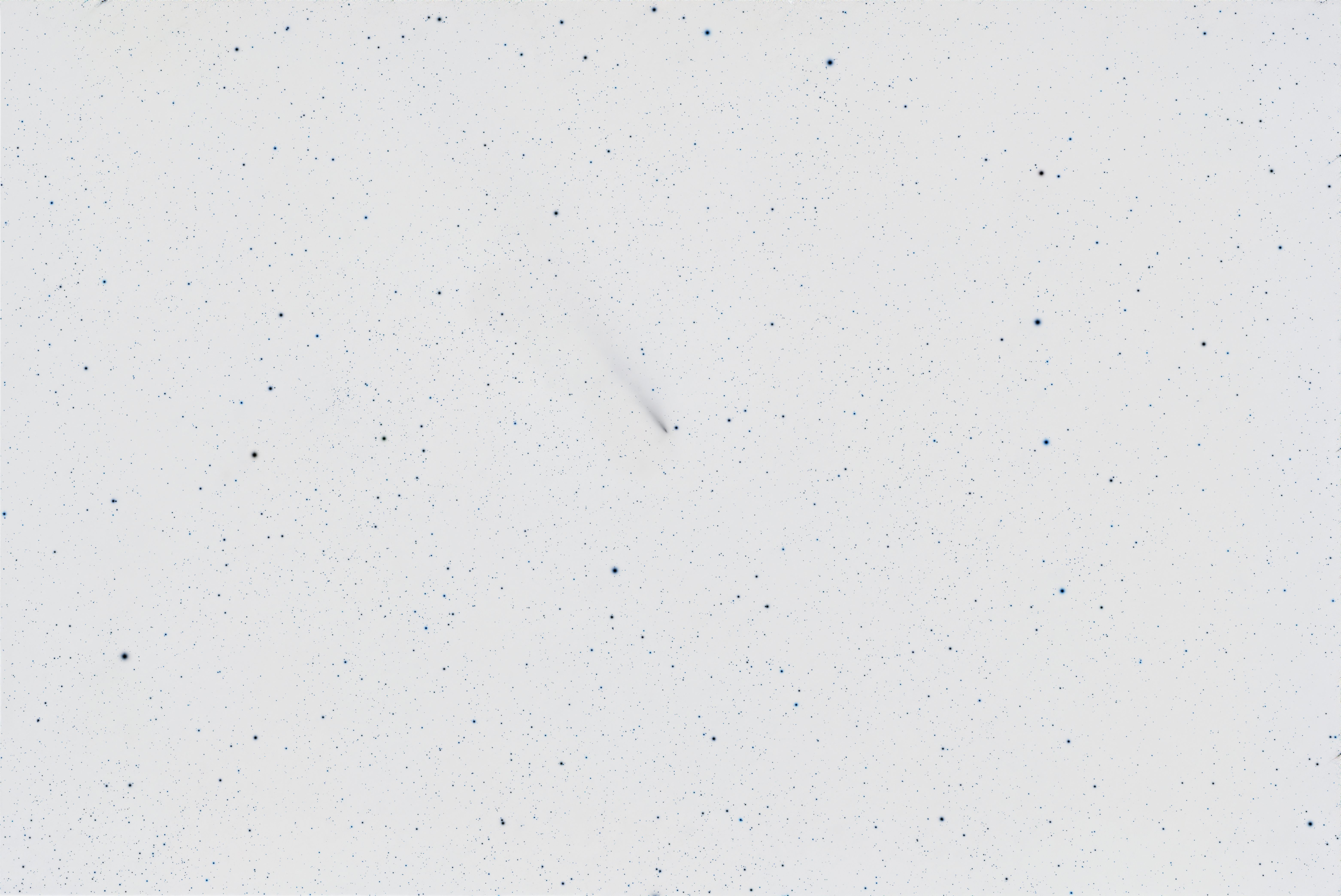 Inverted image of Comet C/2025 K1 (Atlas)